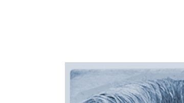 Se inicia una campaña para incluir a los inmigrantes en los paquetes de alivio económico. (Cortesía CHIRLA)