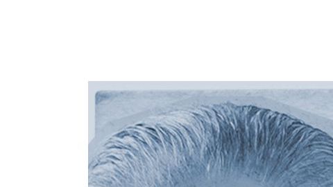 Se inicia una campaña para incluir a los inmigrantes en los paquetes de alivio económico. (Cortesía CHIRLA)