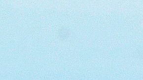 Cuatro parques de San Francisco han sido equipados con círculos blancos para recordar la distancia social.