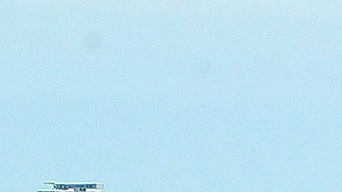 Cuatro parques de San Francisco han sido equipados con círculos blancos para recordar la distancia social.