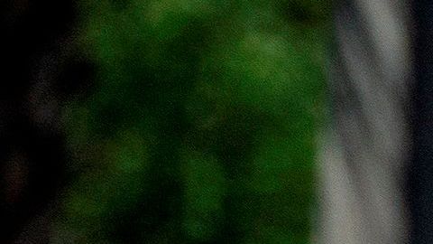 La jueza apunta que las condiciones de detención violan derechos.