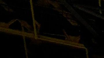 El goleador Erling Haaland fue el encargado de firmar el tanto.