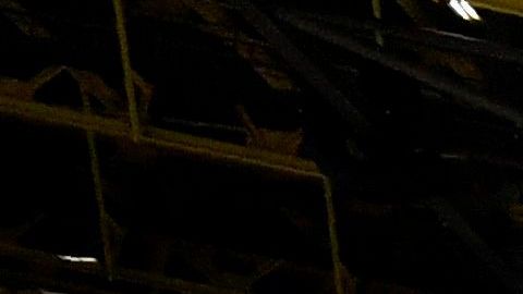 El goleador Erling Haaland fue el encargado de firmar el tanto.