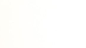 Como una respuesta al estrés, el cuerpo genera una mayor producción de hormonas (andrógenos) que aumenta la producción de grasa del rostro.