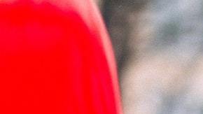 Los mejores signos para tener una relación duradera.