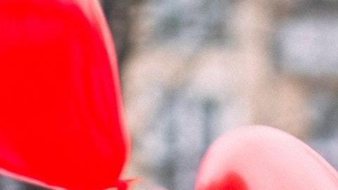 Los mejores signos para tener una relación duradera.