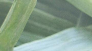 La mujer quería que llorara mucho por su ruptura.