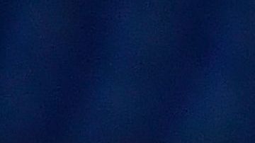 quien es alondra gonzalez