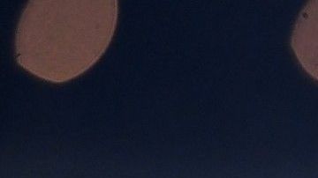 andre drummond propina