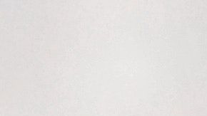 El curioso arácnido fue descubierto en 2017.