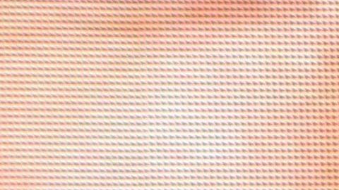 Aracely Arámbula a sus 44 años.