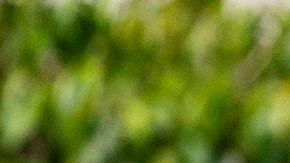 Un manifestante en L.A. despliega un mensaje sobre el pago de la renta.