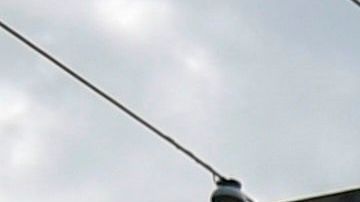 Muerte de George Floyd