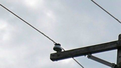 Muerte de George Floyd