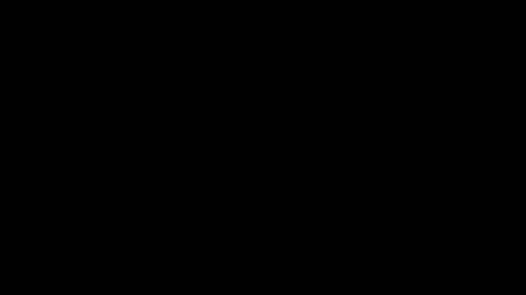 BOL01 SANTA CRUZ (BOLIVIA) 11/05/2020.- Policías montan guardia este lunes en la cárcel de Palmasola, donde se presentó un motín, en Santa Cruz (Bolivia). La muerte de dos reos en la cárcel boliviana de Palmasola, la mayor y más conflictiva del país, con posibles síntomas de COVID-19 levantó alarmas y generó un motín en ese centro penitenciario situado en la región oriental de Santa Cruz que concentra la mayoría de los casos de la enfermedad en Bolivia.