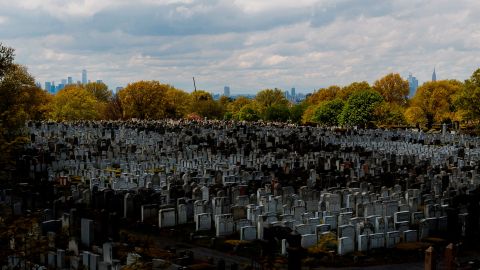 Nueva York sigue siendo el epicentro estadounidense de la pandemia.