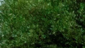 La Casa Blanca ha impulsado retomar la actividad económica, pese a los datos.