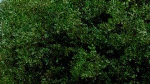 La Casa Blanca ha impulsado retomar la actividad económica, pese a los datos.