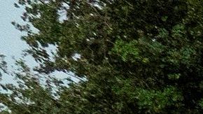 Los 100 "cuerpos" de la protesta simbolizan los 100,000 muertos en EE.UU.