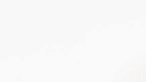 El 20 de mayo se celebra el Día Mundial de la Abeja.