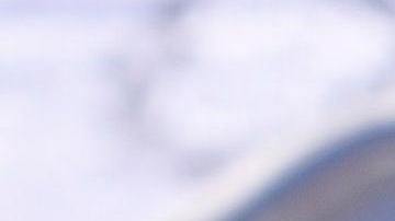 Tarta de frutos rojos.