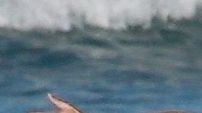 Photo © 2020 Backgrid/The Grosby Group
Spain: Lagencia Grosby

*PREMIUM-EXCLUSIVE*

NO BRAZIL

12 MARCH 2020 

Costa Rica, COSTA RICA  Gisele Bundchen retired from runway modeling in 2015 but the Brazilian bombshell proved she still is very much a supermodel during a photo shoot on the beach in Costa Rica. Gisele looks great as she shows off her toned figure while frolicking on the beach in a chocolate covered bikini top with matching leopard print bottom. *Shot on March 8, 2020*

Pictured: Gisele Bundchen
