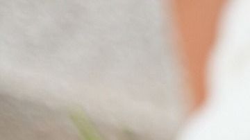 El 2020, ideal para el matrimonio.