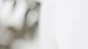 Fue el mejor regalo de bodas que pudo tener.