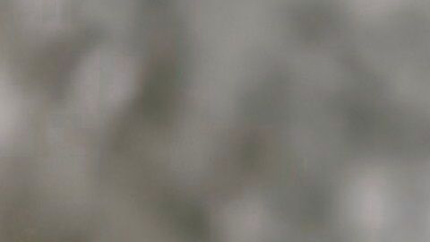 ¿Qué tal un cafecito?