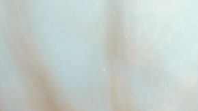 brocheta-nikitozawr-Pixabay