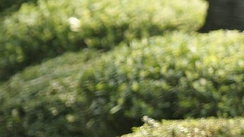 Aprende a relajarte con la respiración.