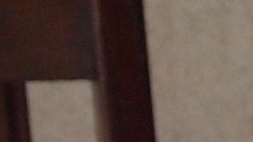 Lograr un trabajo efectivo confinados en el hogar con los hijos y las tareas de la casa, es un verdadero desafío que muy pocos padres están logrando.