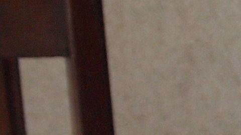 Lograr un trabajo efectivo confinados en el hogar con los hijos y las tareas de la casa, es un verdadero desafío que muy pocos padres están logrando.