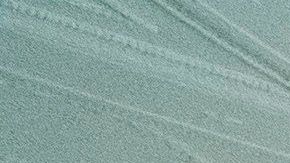 La residencia presidencial asegura estar "trabajando cuidadosamente" para evitar contagios.