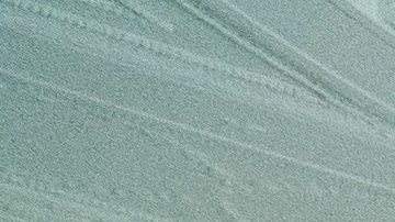 La residencia presidencial asegura estar "trabajando cuidadosamente" para evitar contagios.