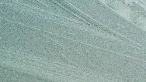 La residencia presidencial asegura estar "trabajando cuidadosamente" para evitar contagios.