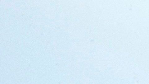 Hollywood Bowl cancels 2020 season amid coronavirus crisis in Los Angeles