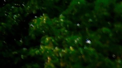 Muerte de George Floyd