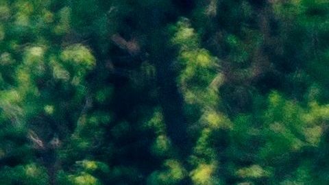 Trump en un carrito de golf.