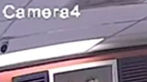 Imagen de la cámara de seguridad de la tienda donde se ve al ladrón llevándose al cachorro.