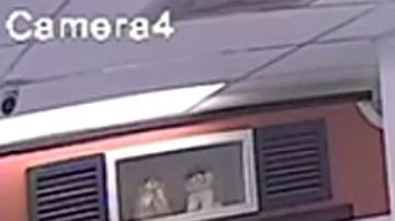 Imagen de la cámara de seguridad de la tienda donde se ve al ladrón llevándose al cachorro.