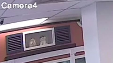 Imagen de la cámara de seguridad de la tienda donde se ve al ladrón llevándose al cachorro.