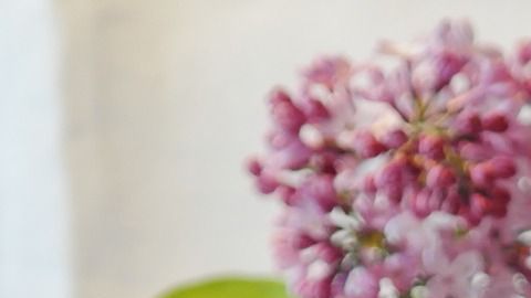 Una idea deliciosa para mamá es enviarle un rico pastel de su sabor favorito.