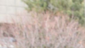 La llanta de repuesto debe mantenerse siempre con la presión adecuada lista para cualquier emergencia.