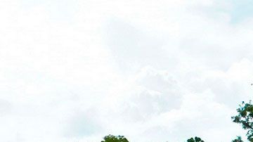 Tu sueño de tener tu casa en Disney World podría hacerse realidad, si puedes pagarlo.