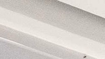 AME1217. MANAOS (BRASIL), 20/05/2020.- Fotografía de este miércoles que muestra una sala con pacientes en tratamiento de COVID-19 en el Hospital Municipal de Campaña Gilberto Novaes, en la ciudad de Manaos, Amazonas (Brasil). El hospital tiene dos unidades de cuidados intensivos, dos unidades de cuidados intermedios y 17 salas y está actualmente a su máxima ocupación. EFE/ RAPHAEL ALVES