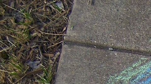 Salir a dibujar a la calle podría haber aumentado dado el interés de salir a obtener el aire fresco.