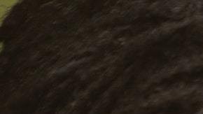 Los signos opuestos se atraen.