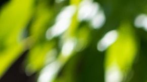 Los niños que hablan solos estimulan su creatividad a través de la invención de diversos conflictos y soluciones, necesarios para que el juego tenga sentido y se alargue.