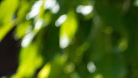 Los niños que hablan solos estimulan su creatividad a través de la invención de diversos conflictos y soluciones, necesarios para que el juego tenga sentido y se alargue.